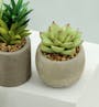 Faux Echeveria with Red Tips in Concrete Planter - 2