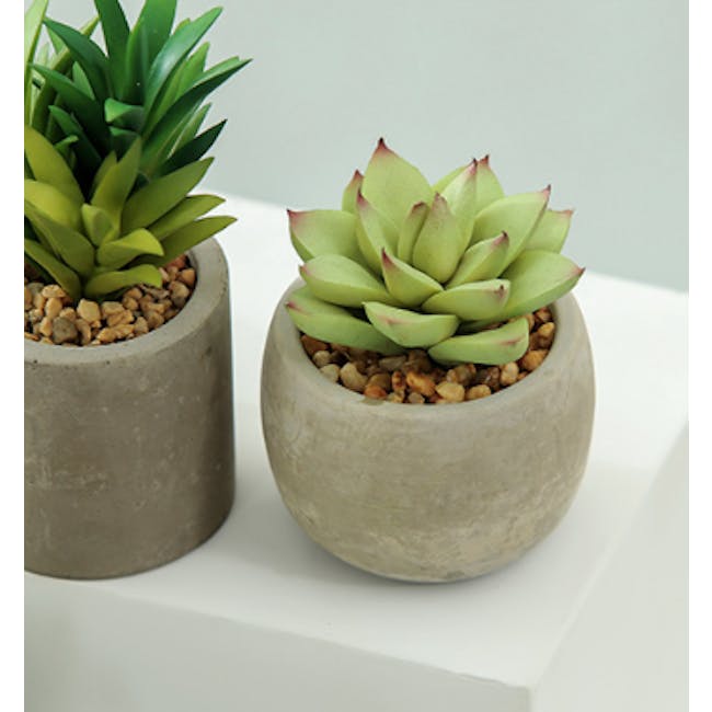 Faux Echeveria with Red Tips in Concrete Planter - 2