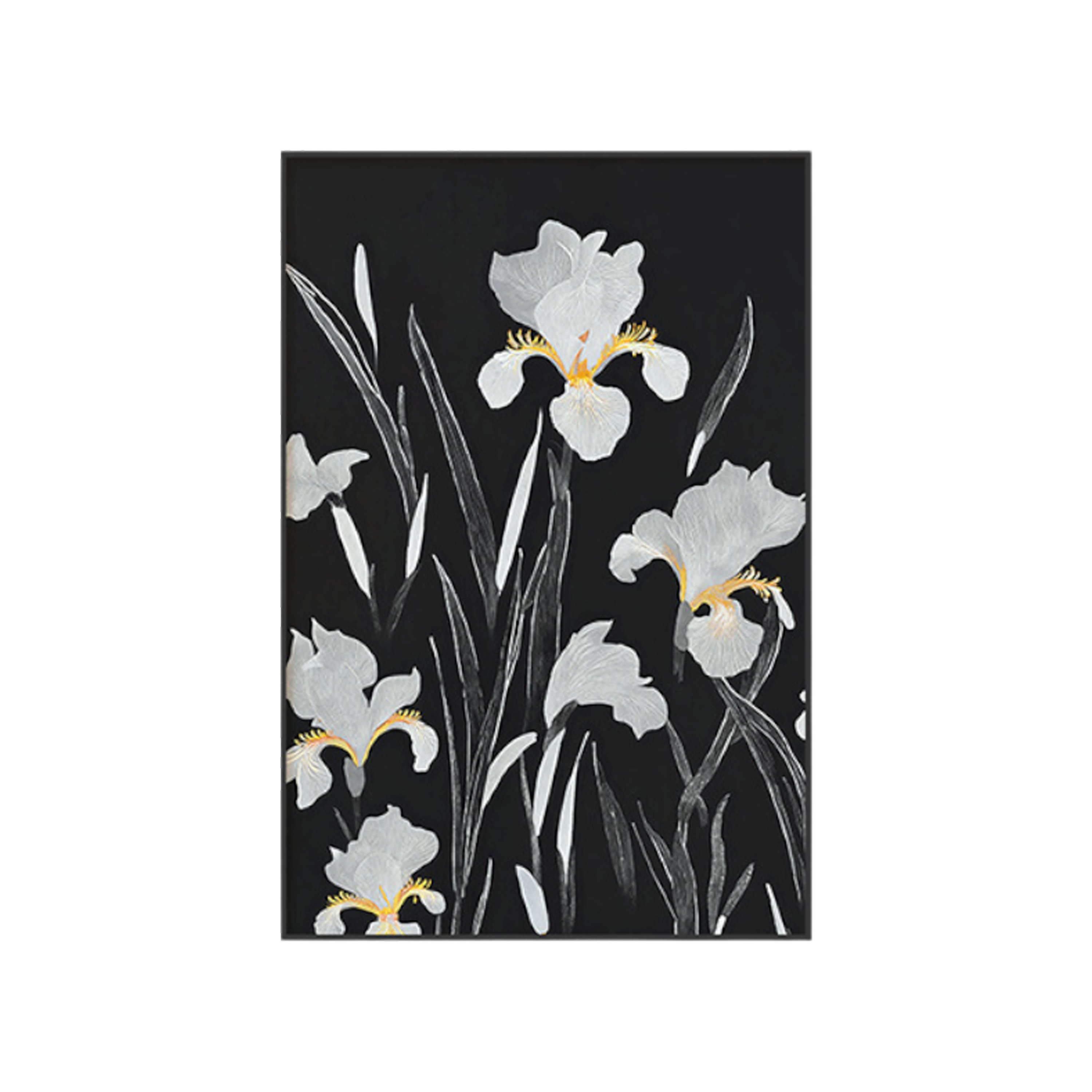Midnight Irises Framed Canvas, 60 x 80 cm