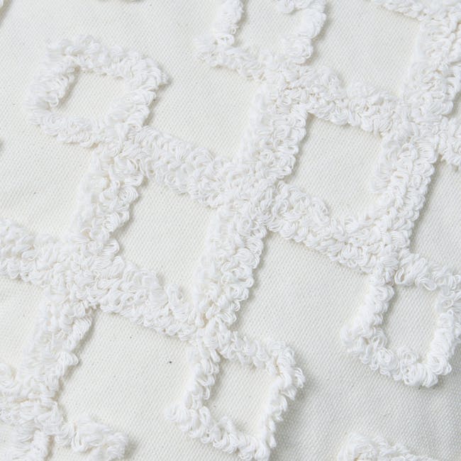 Geo Lattice with Tassels Lumbar Cushion - 6