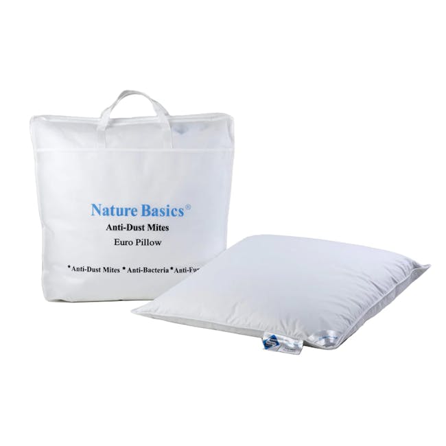 Nature Basics Euro Feather Pillow - 1