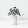 Faux Succulents with White Pebbles - 4