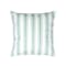 Pencil Stripe Plush Cushion Cover - Mint - 0