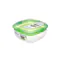 Sistema Salad N Sandwich To Go 1.63L - Green