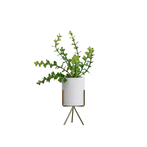 (Showroom Piece) Faux Eucalyptus with Planter on Stand 32 cm - White, Brass Legs