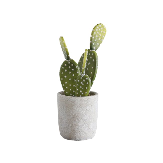 Faux Bunny Ear Cactus in Concrete Planter - 0