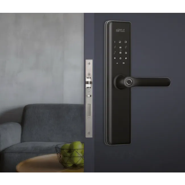Hafele DL7600 Digital Lock - 2 - Sleek black Hafele door handle with numeric keypad, Modern design with minimalist gray wall