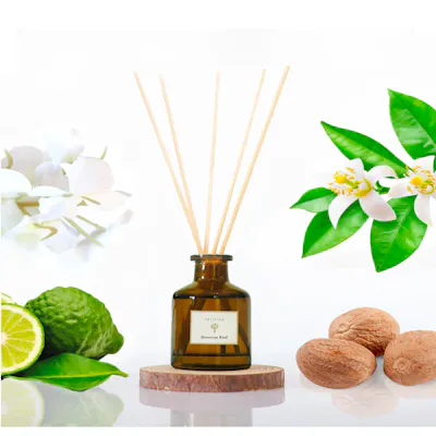 Pristine Aroma Reed Diffuser Hotel Scent - Moroccan Riad (2 Sizes)