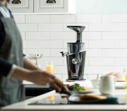 Hurom H100s Cold Pressed Slow Fruit Juicer Easy Series Black Pearl