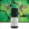 Iryasa Organic Patchouli Essential Oil - 4