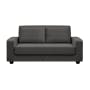 Karl 2.5 Seater Sofa Bed - Dark Grey - 0