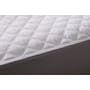 (Single) EVERYDAY Fitted Waterproof Mattress Protector - 5