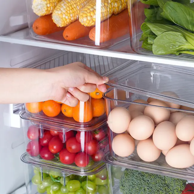 Luca Multi-Purpose Storage Box with Lid - Small - 5 - fresh produce, refrigerator, transparent containers, orange, carrots
