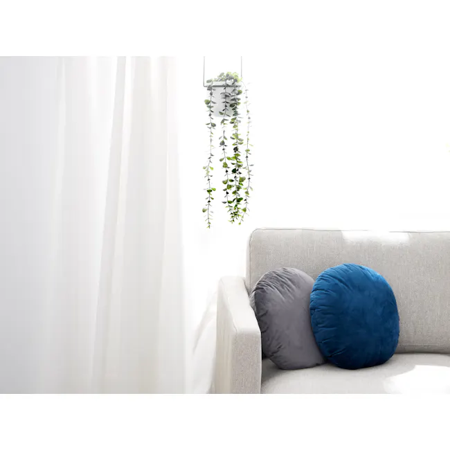 Eucalyptus Vine Plant - Pale Green - 2 - White sheer curtains, hanging plant, green trailing vines, light streaming through