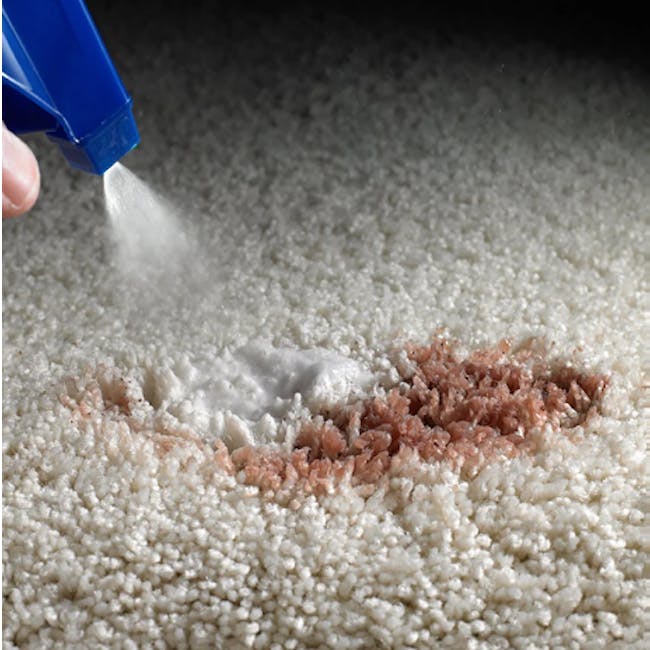 ScotchGard Oxy Spot & Stain Remover for Carpet - 1