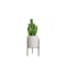 Faux Cactus with Planter on Stand 26 cm - White, Brass legs - 0