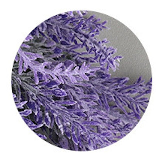 Faux Lavender Stem - Purple (Set of 5) - 6