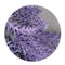 Faux Lavender Stem - Purple (Set of 5) - 5