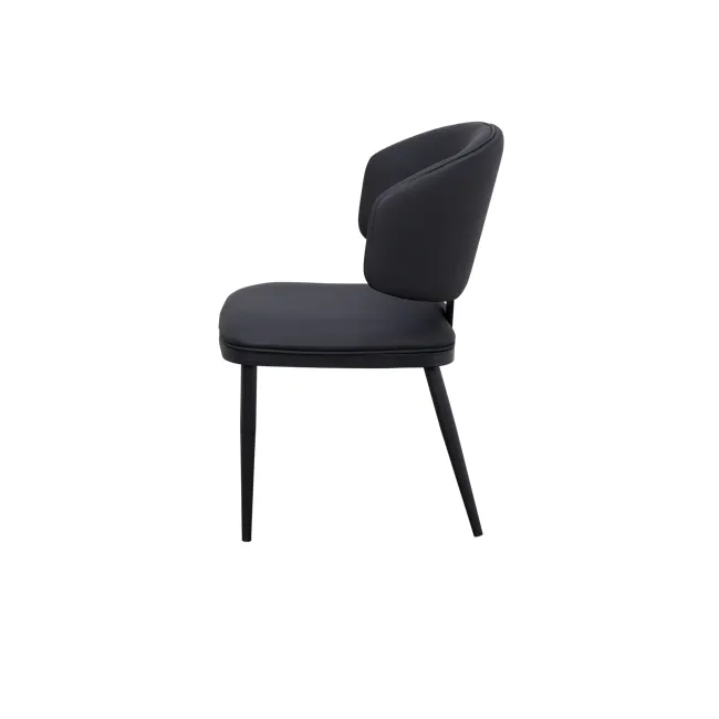 Julio Dining Chair - Black (Pet Friendly) - 7