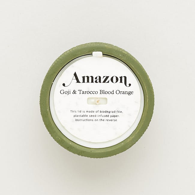 Pass It On Plantable Candles - Amazon - 1