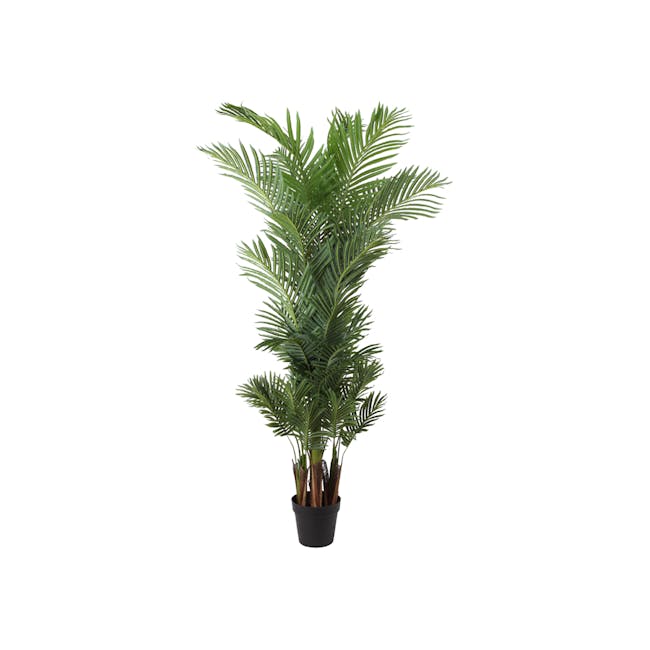 Potted Faux Palm Tree 180 cm - 0