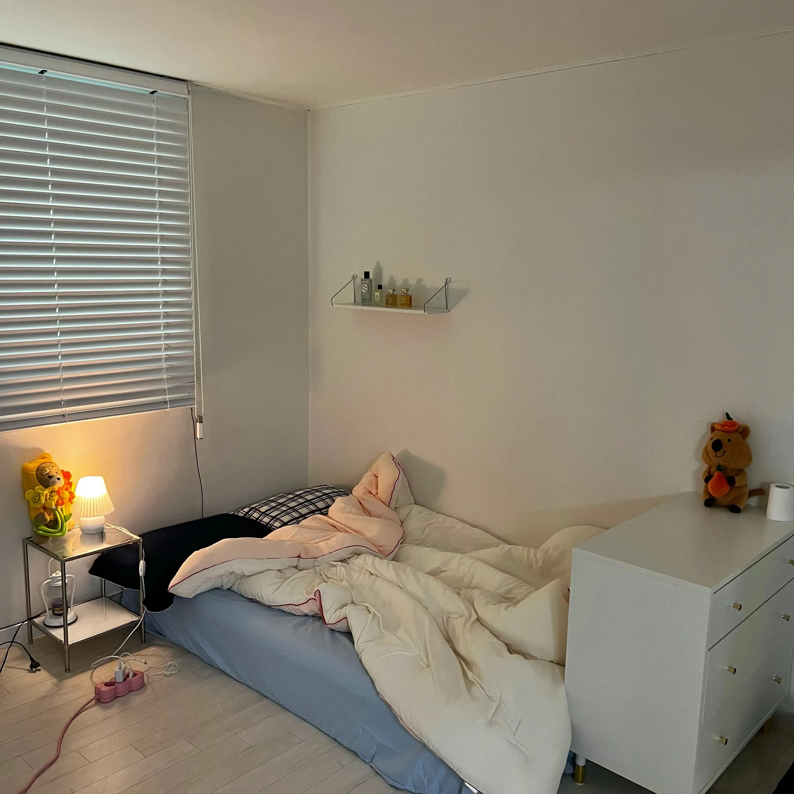 Customer home photo 5