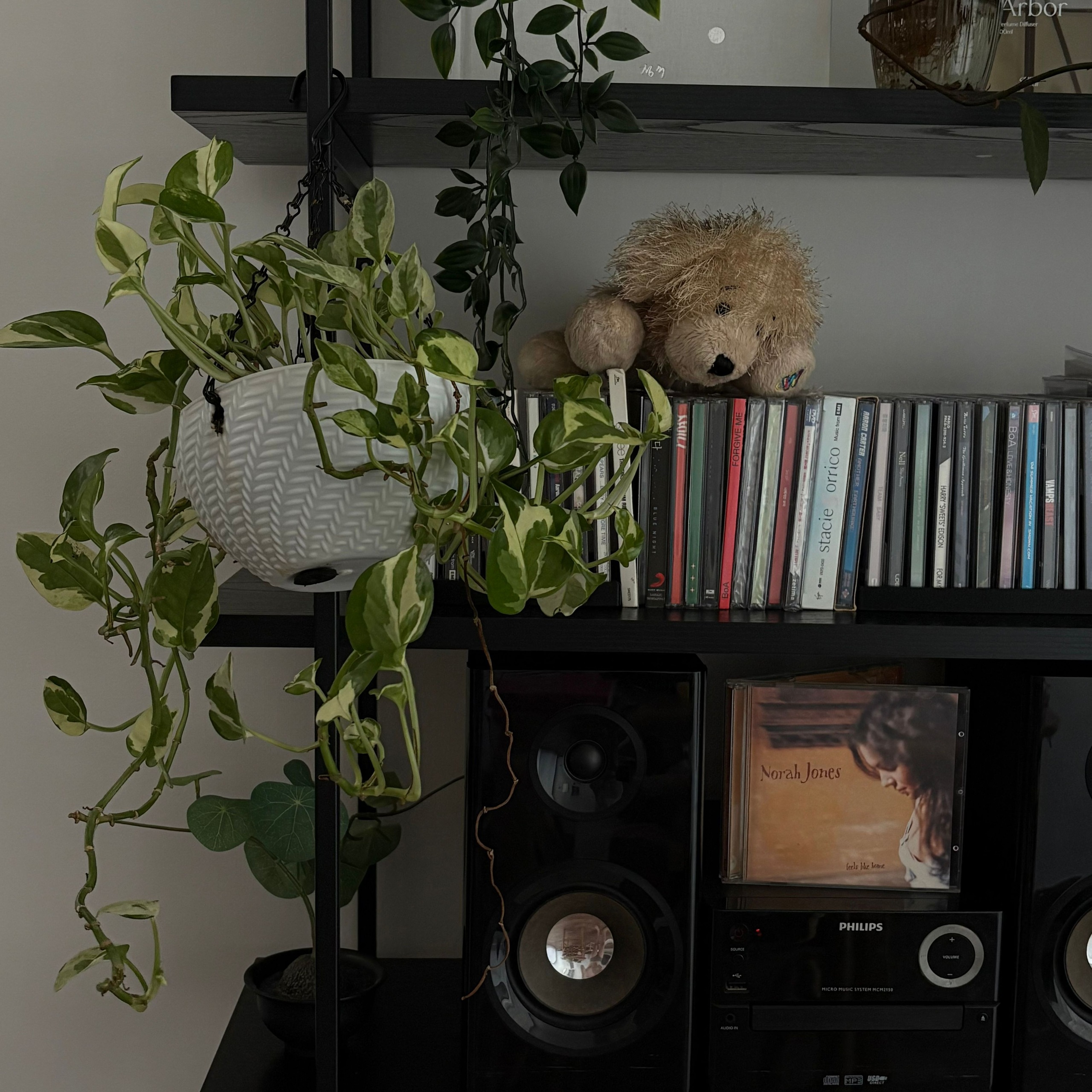 Customer home photo 11