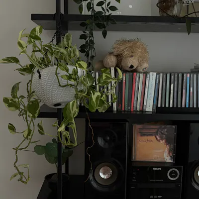 Customer home photo 11