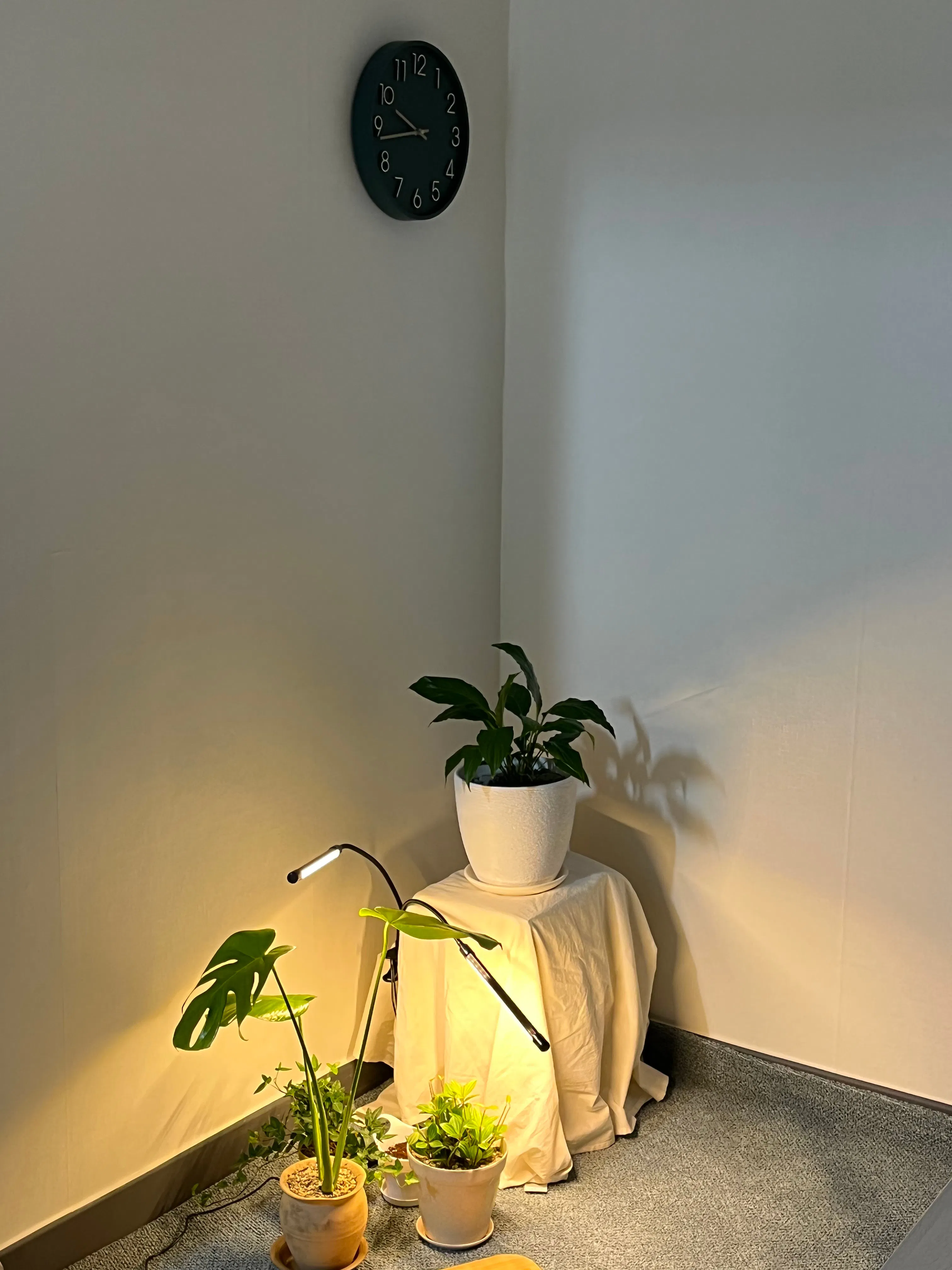 Customer home photo 19