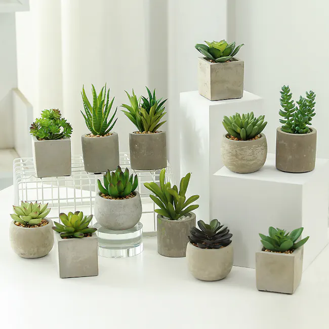 Faux Echiveria in Concrete Planter - Purple - 3 - Succulents in various shapes and sizes, modern minimalist background