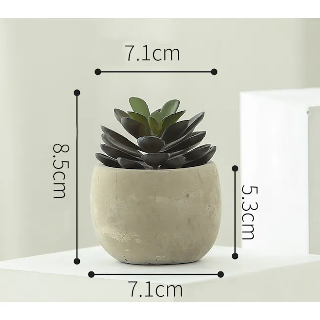 Faux Echiveria in Concrete Planter - Purple - 5 - moss plant, indoor plant, succulent, green leaves, ceramic pot, 5 cm