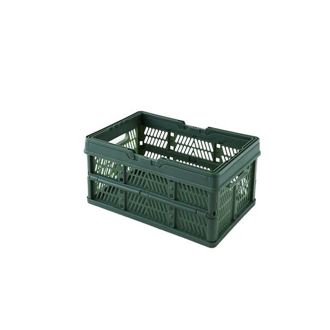 Kono Foldable Storage Basket 18L - Green - 1
