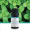 Iryasa Organic Peppermint Essential Oil - 4