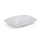 MaxCoil Neck Shield Fibre Fill Pillow - 1