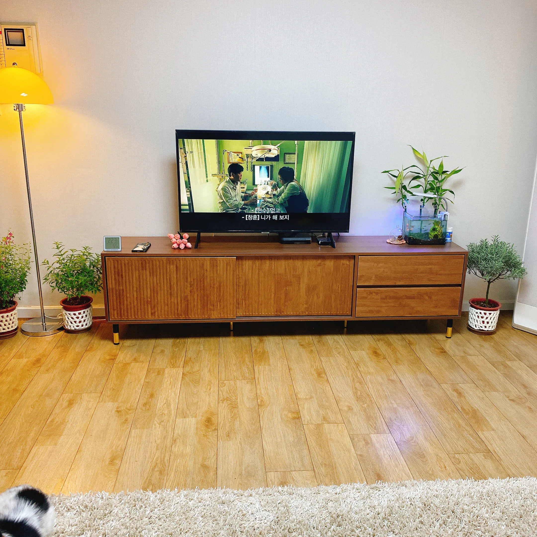 Customer home photo 6
