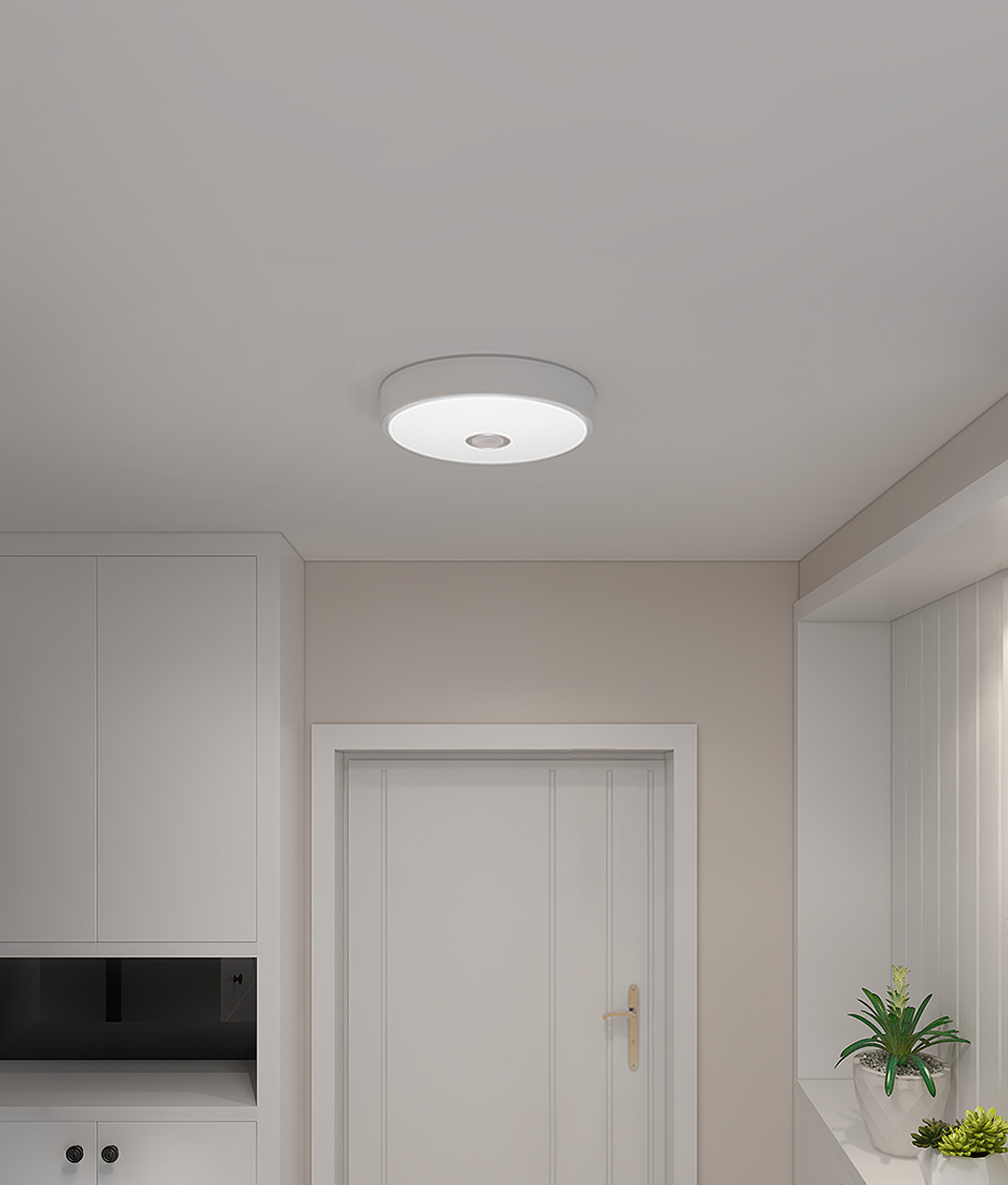 Motion Sensor Ceiling Light