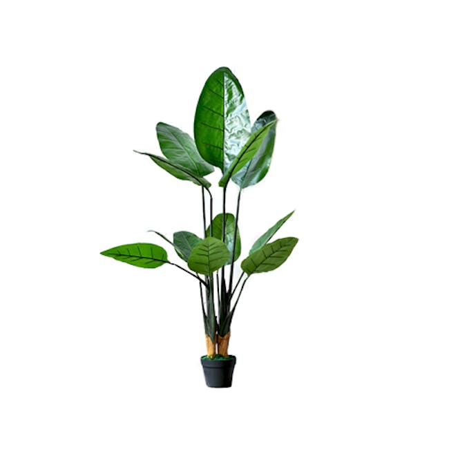 Potted Faux Bird of Paradise 150 cm - 0