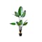 Potted Faux Bird of Paradise Tree 150 cm - 0