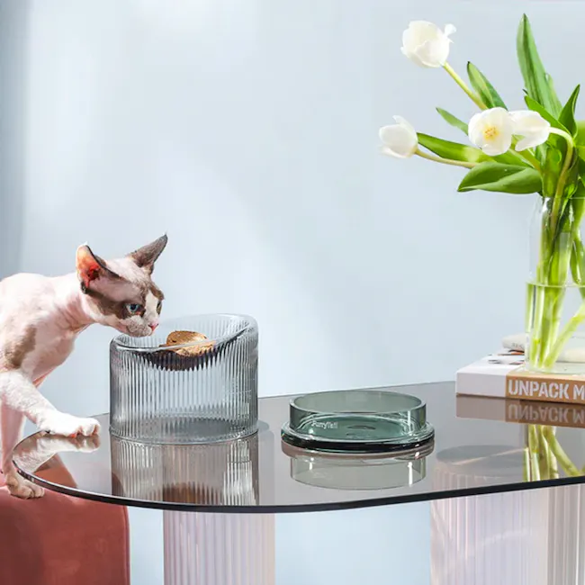 FURRYTAIL Fooddict Elevated Glass Feeding Bowl - Green - 2 - Sphynx cat, white and brown fur, blue eyes, sitting on table