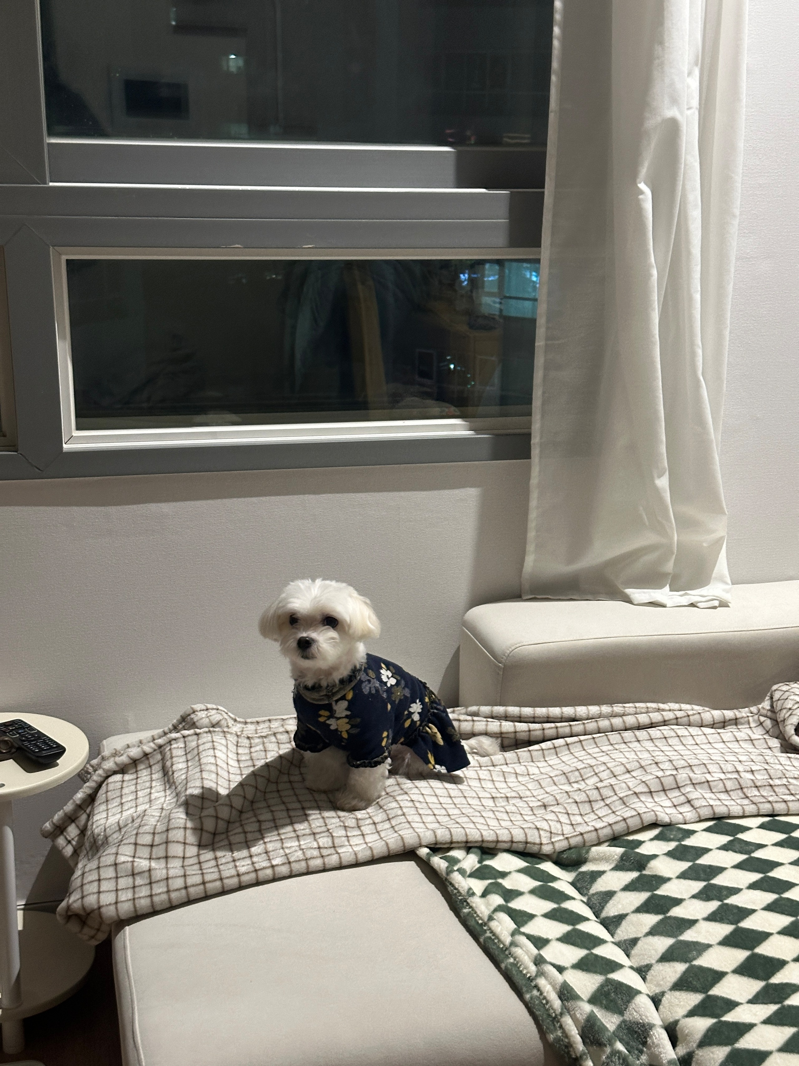 Customer home photo 2