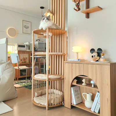 Customer home photo 12
