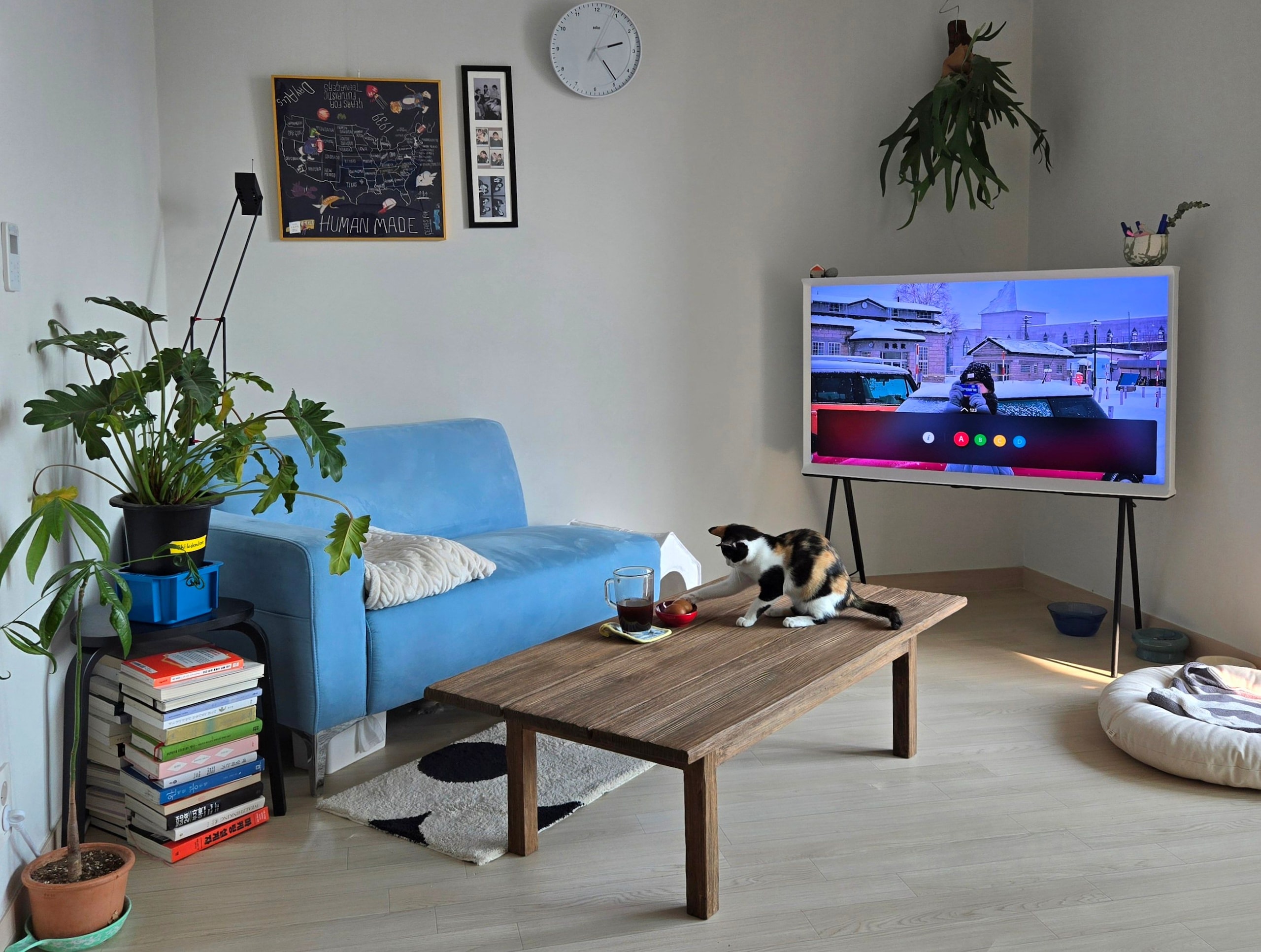 Customer home photo 1