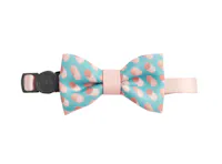 Pidan Cat Bowties - Dotty