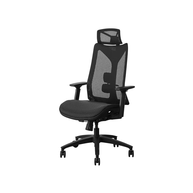 Willem Ergonomic Office Chair - Black - 1