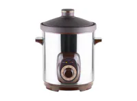 IONA 8.0L Auto Purple Clay Slow Cooker with Timer