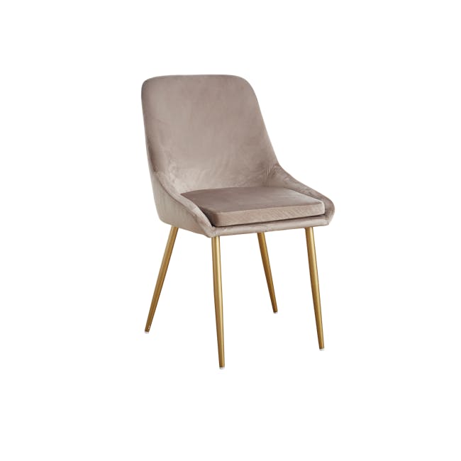 Raen Dining Chair - Bronze (Velvet) - 0