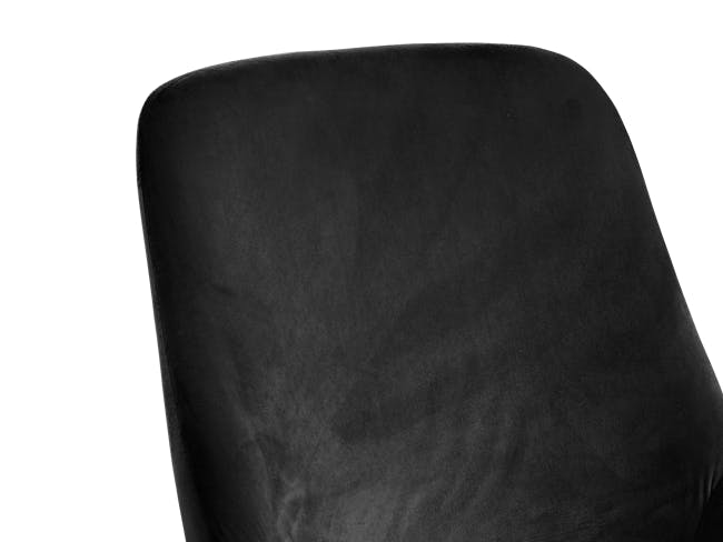 Raen Dining Chair - Black (Velvet) - 4
