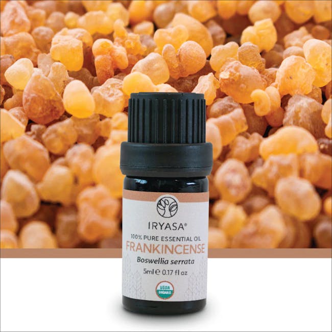 Iryasa Organic Frankincense Essential Oil - 4