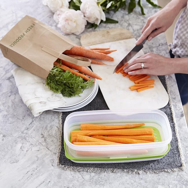 Sistema Freshworks Rectangle Container - 2