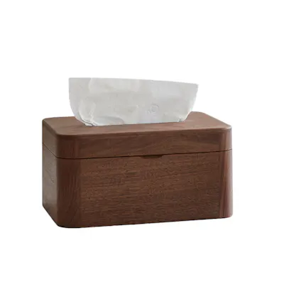 Kenji Tissue Box
